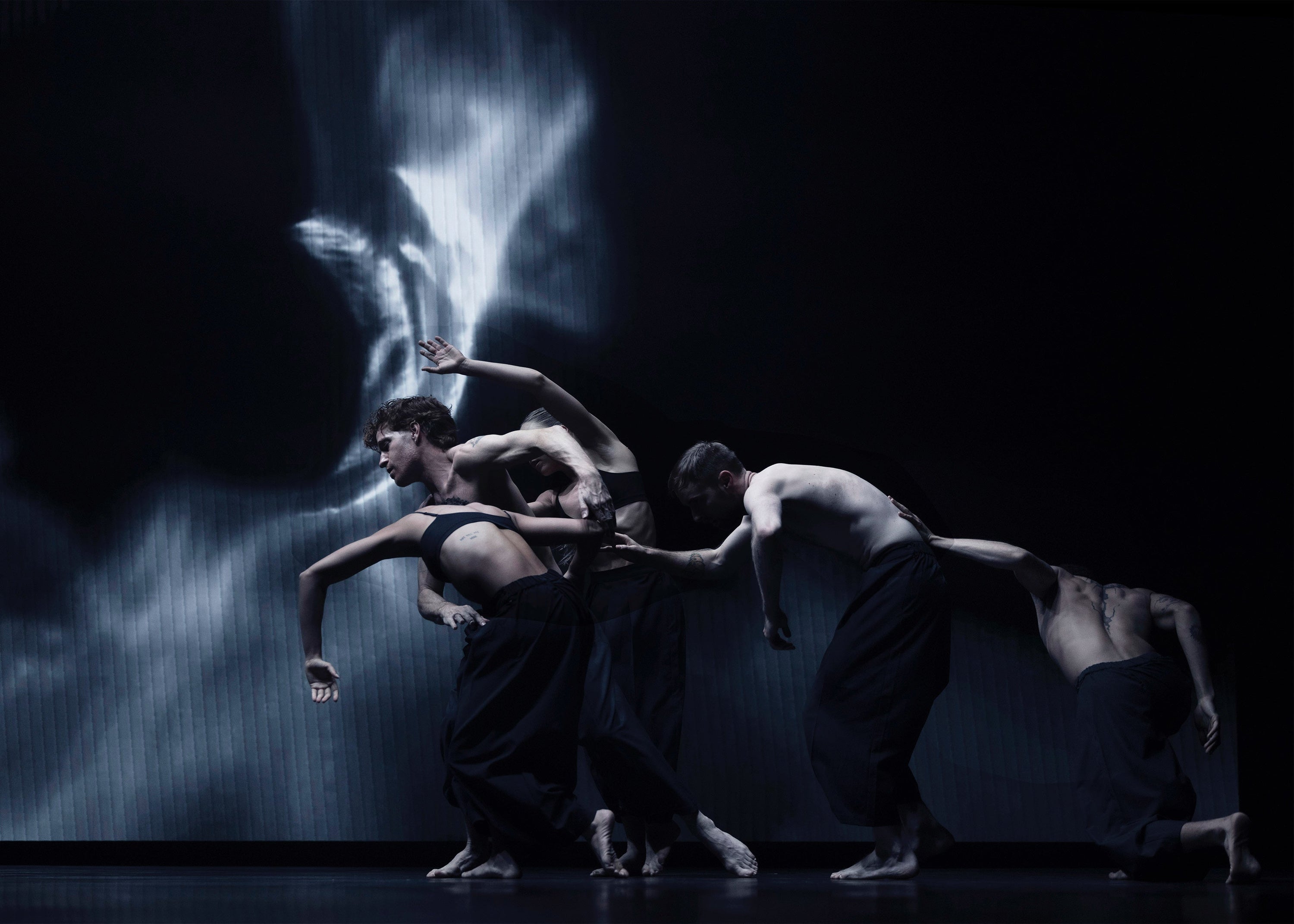 Marla Phelan → BIRTH + CARNAGE [Reflection]